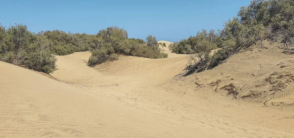 Rötliche Sanddünen auf Gran Canaria. — Stockfoto