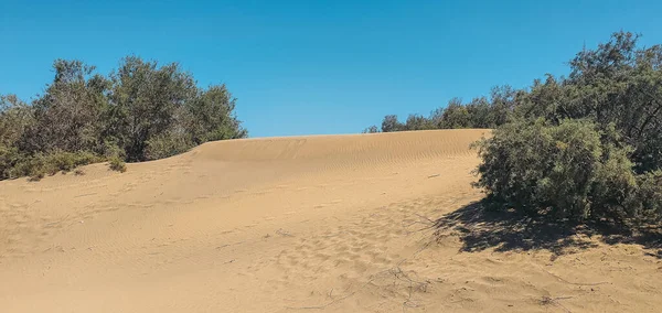 Dunas de areia avermelhadas na ilha de Gran Canaria. — Fotografia de Stock