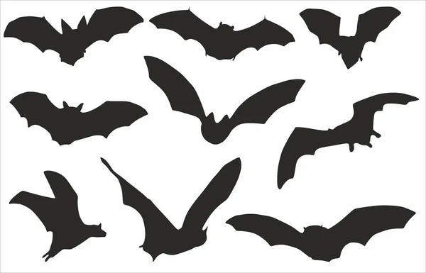 Vector Set Silhouettes Bats Shadows Flying Animals Wingspan Fanged Beasts — Stock Vector