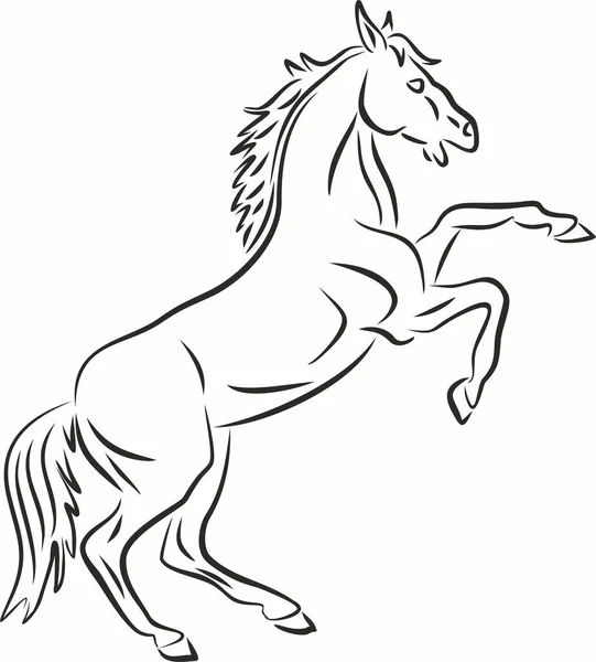 Vector Monochroom Silhouet Paard Tekening Van Een Dier Een Sierlijk — Stockvector