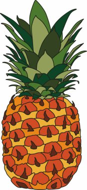 Turuncu bir ananasın vektör çizimi. Yapraklı tropik tatlı meyve