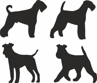 Airedale Terrier köpek siluetinin vektör seti. Evcil hayvanların gölgeleri, memeliler.