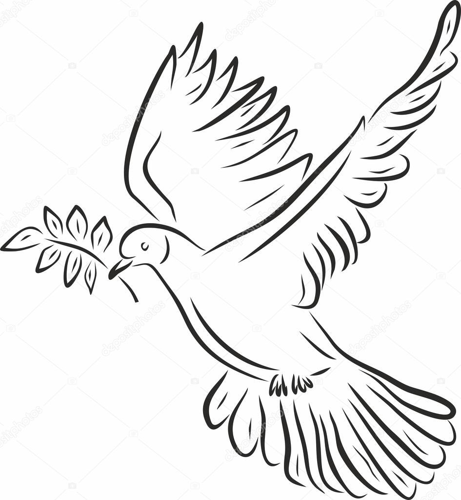 Vector monochrome flying dove with an olive branch in its beak. The bird of hope