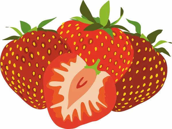 Vector Drawing Red Strawberry Garden Sweet Berry Four Delicious Juicy — Stock Vector