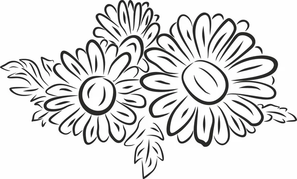 Dibujo Vectorial Monocromo Margaritas Ramo Flores Silvestres Plantas Dibujadas Con — Vector de stock