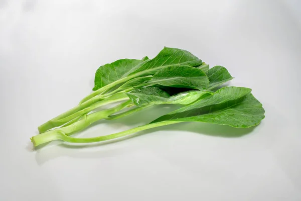 Green Fresh Chinese Kale Chinese Broccoli Vegetable Isolated White Background — Fotografia de Stock