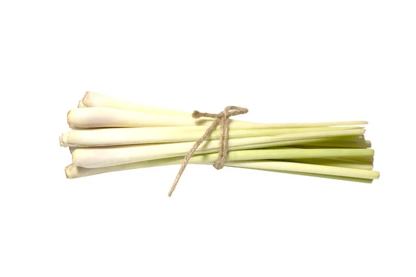 Lemon Grass Fragrant Tropical Grass Which Yields Oil Smells Lemon — Stock Photo, Image