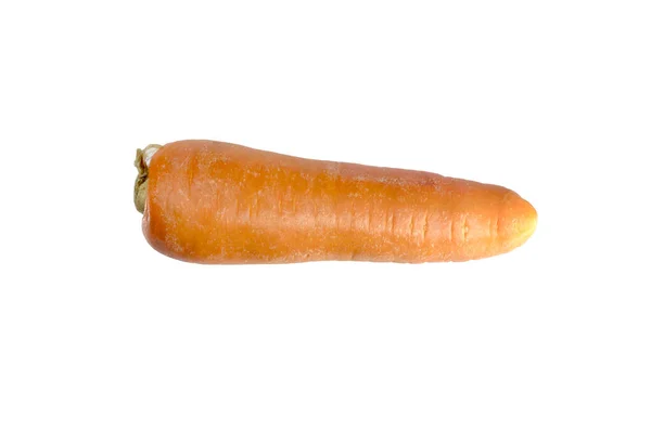 Fresh One Young Carrot Closeup Isolated White Background Flat Lay — Stock Photo, Image