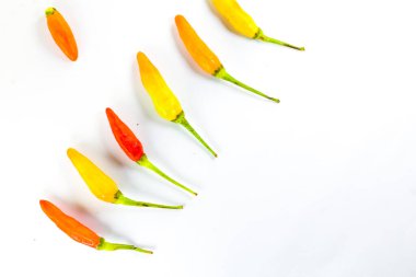 İzole edilmiş beyaz arkaplanda çeşitli küçük kırmızı biber renkleri.