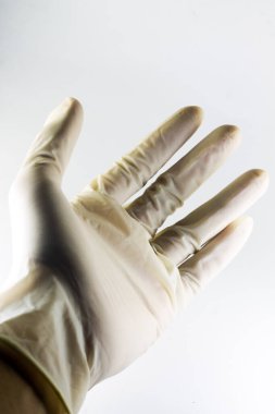 doctor's hands with medical gloves on an isolated white background.
