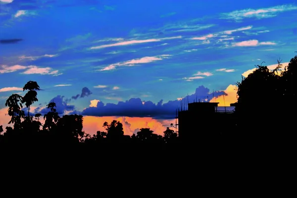 Las Siluetas Los Árboles Crepúsculo Oscuro Son Coloridas —  Fotos de Stock