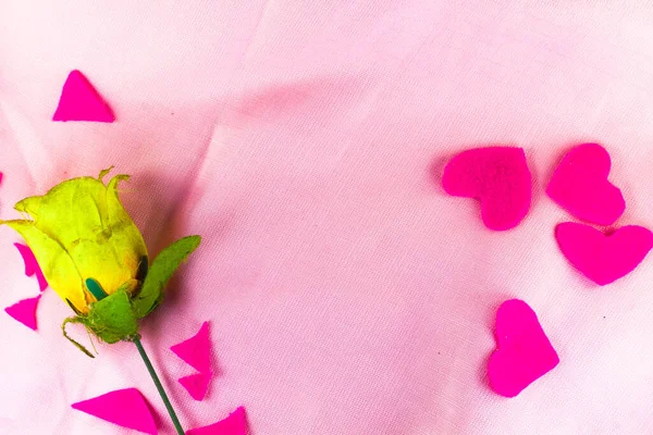 yellow rose with pink background theme.