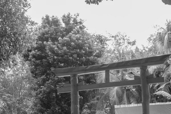 森の中の日本の神社の門 黒と白 — ストック写真