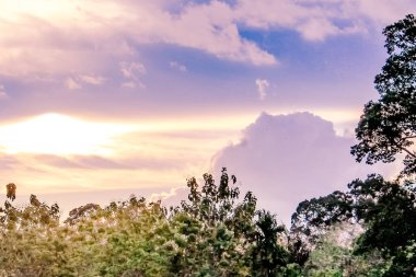 Sabahları güzel renkli gökyüzü. Hayat alıntıları ve din, tebrik kartları ve dekorasyonlar için boşluk kopyala. 