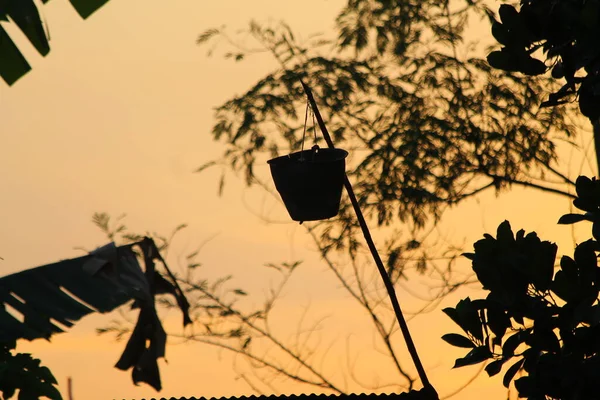 長い竹の先にバケツのシルエット 木の上で蟻の卵を捕まえる道具だ 伝統的な罠 — ストック写真