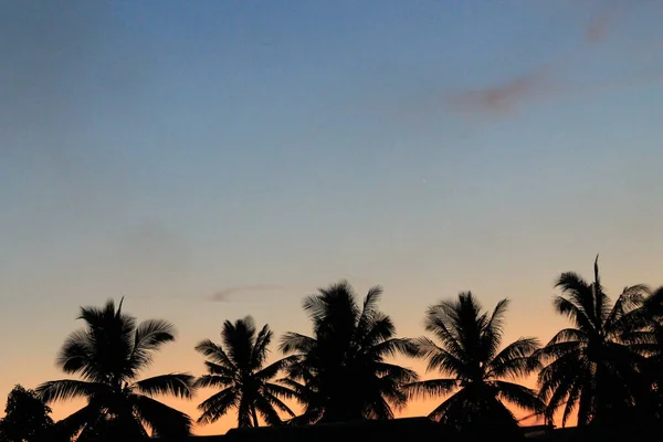 Pozadí Modré Oranžové Oblohy Soumraku Rýsovaly Siluety Kokosových Stromů Tropické — Stock fotografie