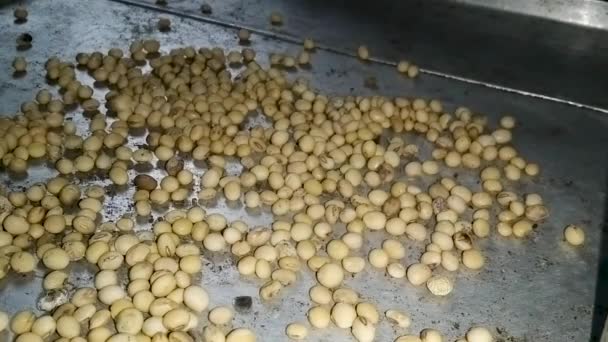 Harvested Soybeans Falling Sack Top View Close Footage Dried Soybeans — Stock Video