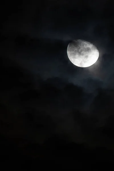 Lune Nuit Par Une Nuit Sombre Photographie Verticale Espace Copie — Photo