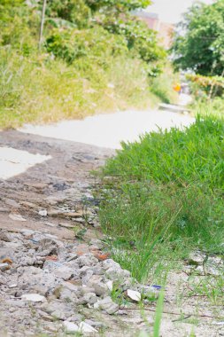 Köyde yeşil çimenler ve kayalarla kaplı bir patika. ortam için alanı kopyala. 