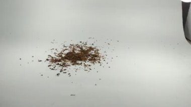 Tütün beyaz arka plana saçılmış. Renklendirme yok. Tarafsız video. 4K video görüntüleri.