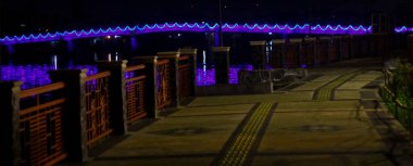 Güzel ışıklarla dolu siring bahçesi. Gece görüşü, parıldayan ışıklar, gece hayatı ve nehir atmosferi için alanı kopyala.