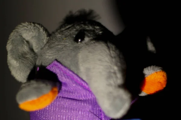 Doldurulmuş fil dikkatle baktı. Yaşam, hobiler, koleksiyonlar ve hayvan maskotları için yer kopyalamak. Güney Kalimantan, Endonezya. Aralık 03, 2013.