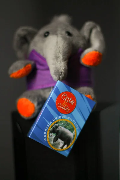 Tarif etiketli bir fil bebek. Yaşam, hobiler, koleksiyonlar ve hayvan maskotları için yer kopyalamak. Güney Kalimantan, Endonezya. 30 Kasım 2013.