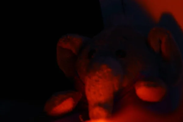 Éléphant Rouge Fond Abstrait Déconcentré Poupée Éléphant Espace Copie Pour — Photo