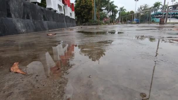 Chuvisco Água Chuva Poças Poça Caminho Jardim Feche Depois Chuva — Vídeo de Stock