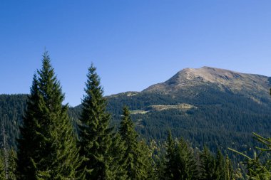Karadağ sırtı Karpatlar 'ın sonbaharında