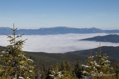 Dağlarda sonbahar sahne