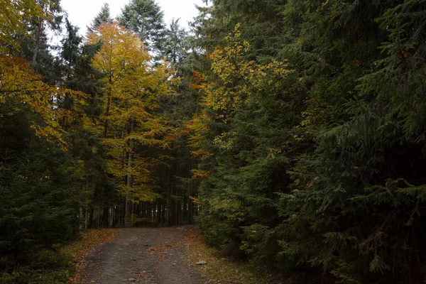 Herbstliche Landschaft Den Bergen — Stockfoto