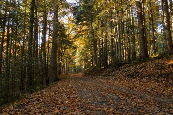 Herbstliche Landschaft Den Bergen — Stockfoto