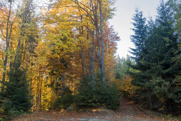 Herbstliche Landschaft Den Bergen — Stockfoto