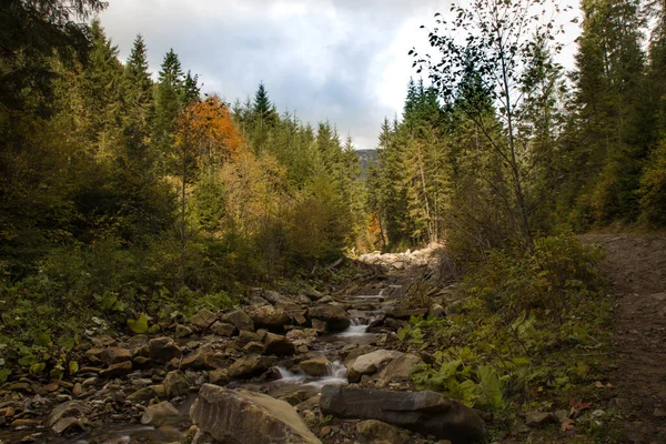Осенний Пейзаж Горах — стоковое фото