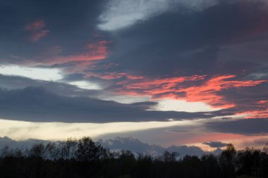 Ormandaki gölün yanında sonbahar.