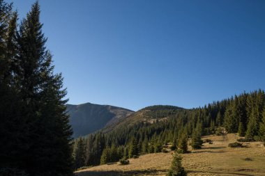 Karpat dağlarında sonbahar