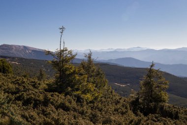 Karpat dağlarında sonbahar