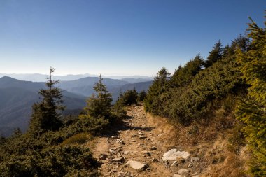 Karpat dağlarında sonbahar