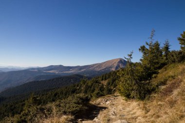 Karpat dağlarında sonbahar