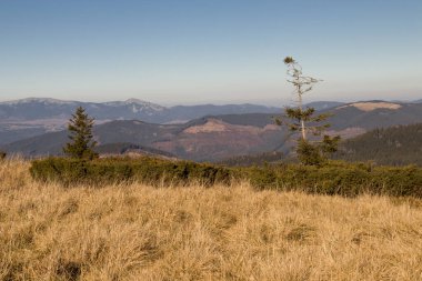 Karpat dağlarında sonbahar