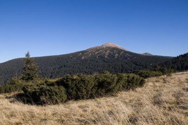Karpat dağlarında sonbahar