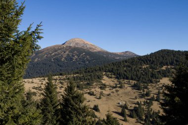 Karpat dağlarında sonbahar