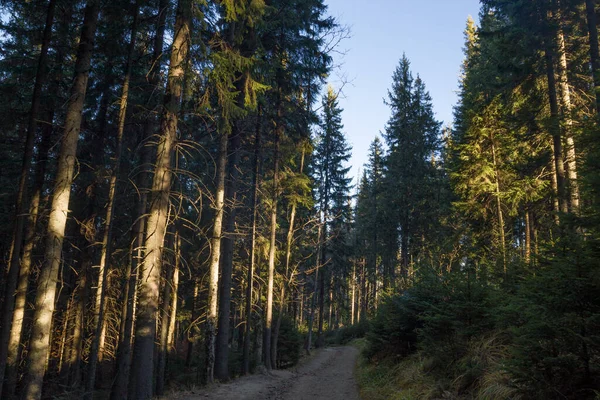 Herbst Den Karpaten — Stockfoto