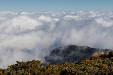 Dağlarda bulut ve sis
