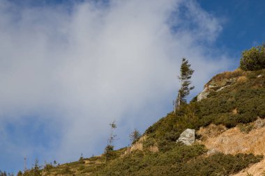 Dağlarda bulut ve sis