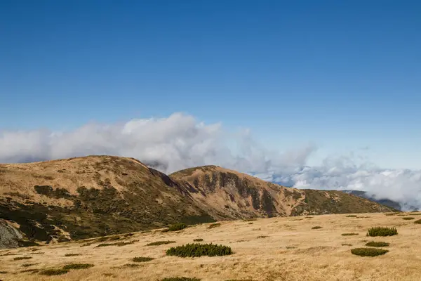 Туман Облака Горах — стоковое фото