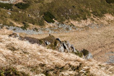 Dağlık bölgede sonbahar günü