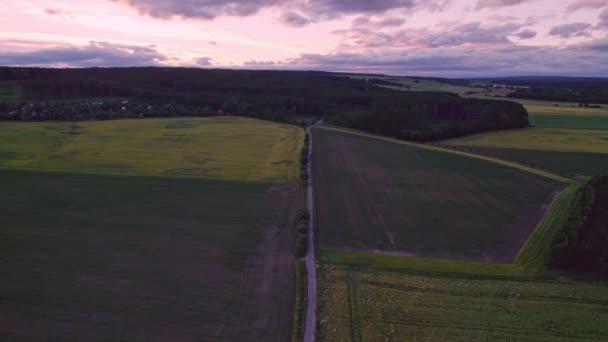 Drönare Flygning Över Jordbruksmark Dåligt Ljus Följer Vägen Republiken Tjeckien — Stockvideo