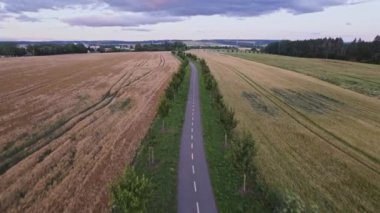 Ağaçlarla dolu yeşil bir sokakta uçan bir dronun hava görüntüsü. Çiftliklerdeki drone 'lar. Çek Cumhuriyeti 'nde tarım arazisi ekimi.